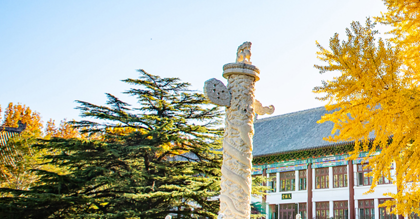 1763438178983120.png image.png